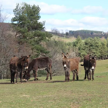 Hébergement de vacances à La Ferme L'Estrade